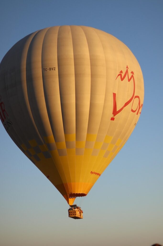 curated experiences tours and leisure activities