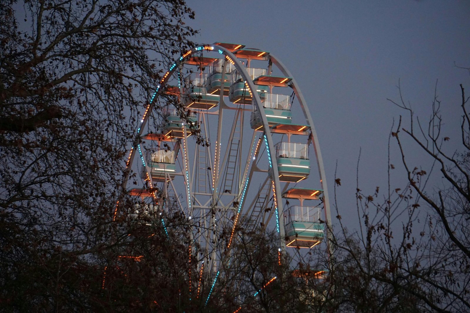 Ferris wheel glowing at twilight among bare trees in Trikala, Greece, creating a serene scene.